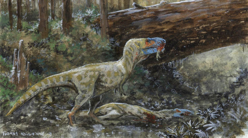 Illustration for article titled El mayor mito sobre el T-rex puede ser falso: sus pequeños brazos sí tenían un cometido, y era salvaje y sangriento